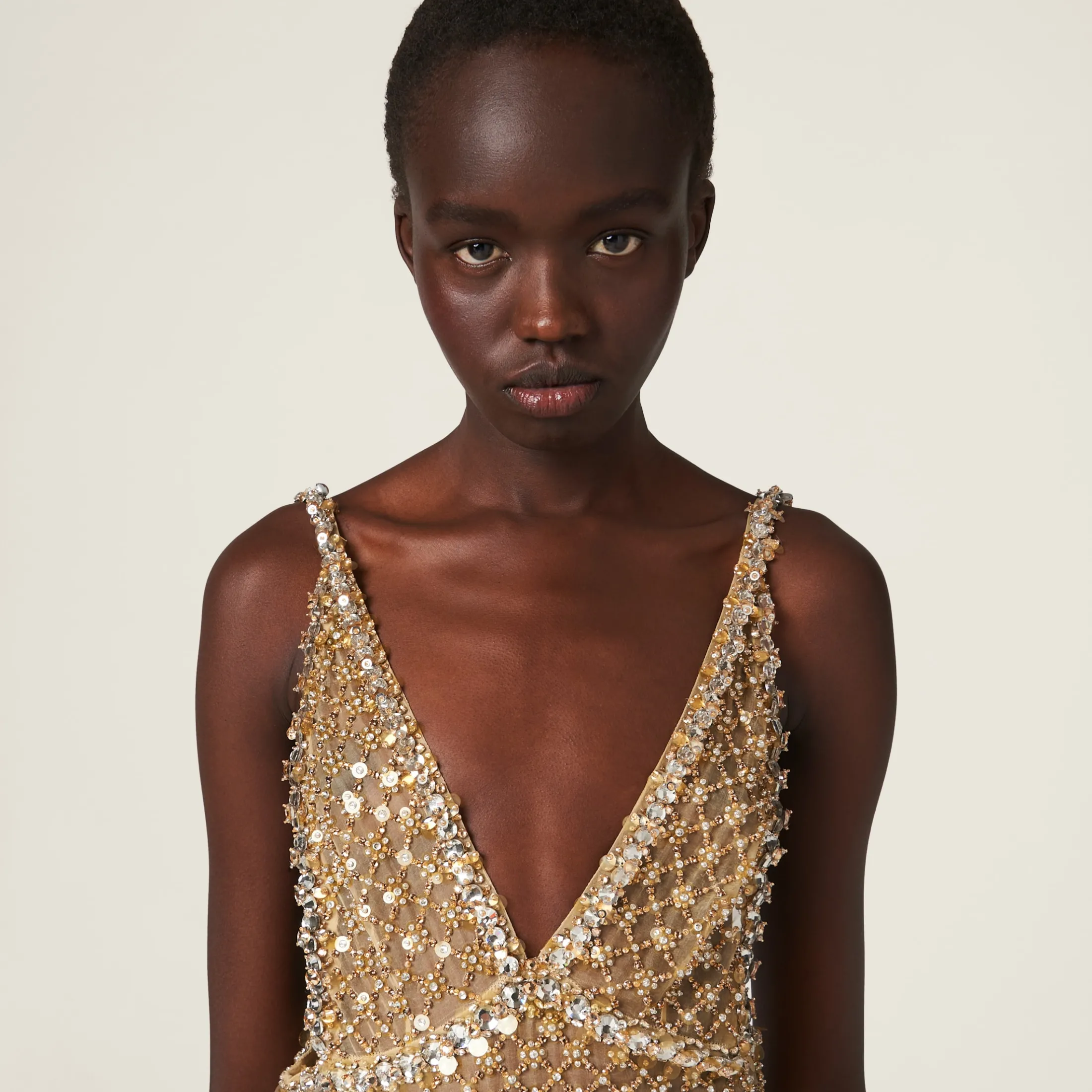 Sand Beige Embroidered Organza Dress | Miu Miu